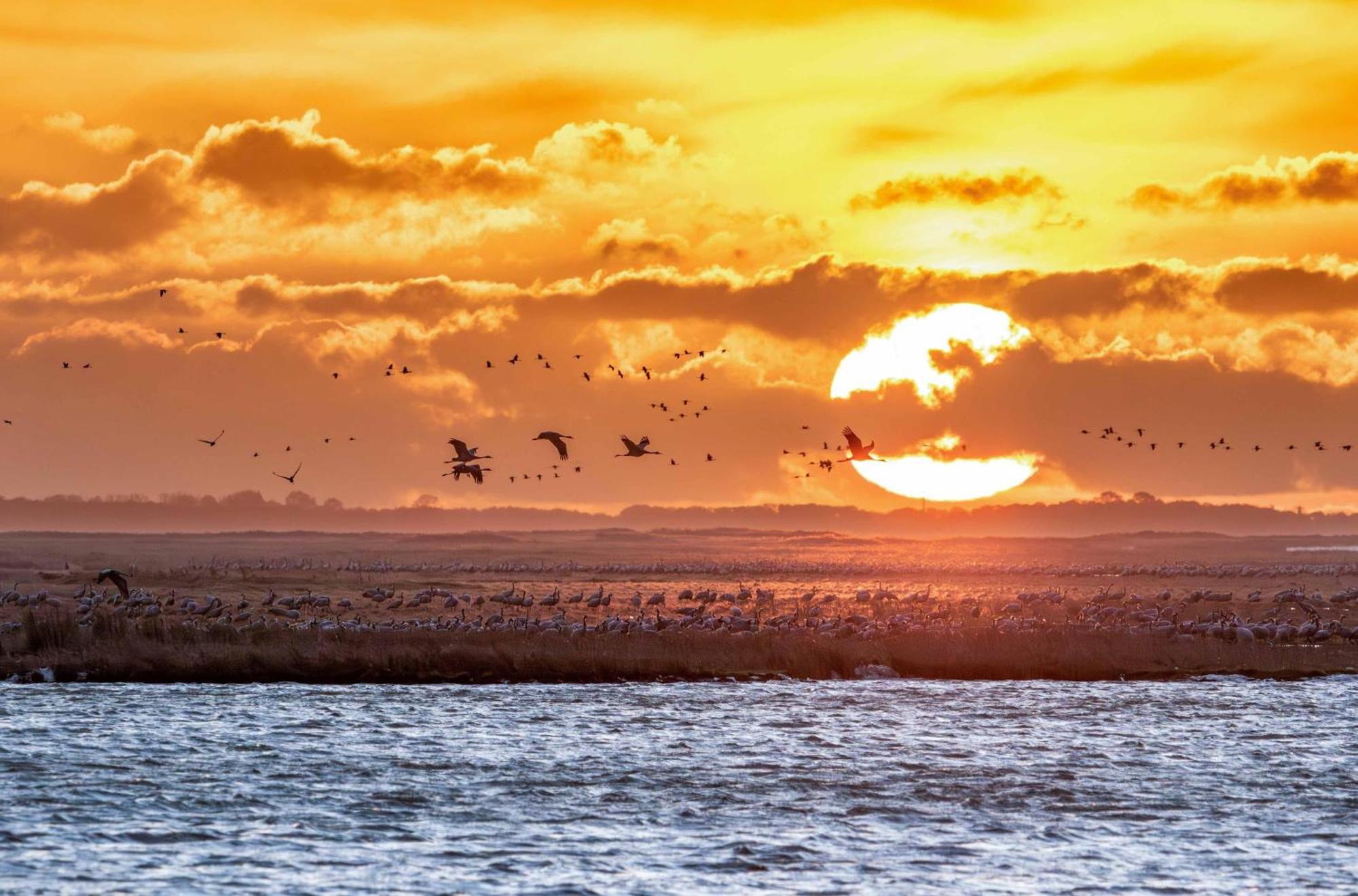 Sonnendeck Im Luftkurort Klink Daire Dış mekan fotoğraf